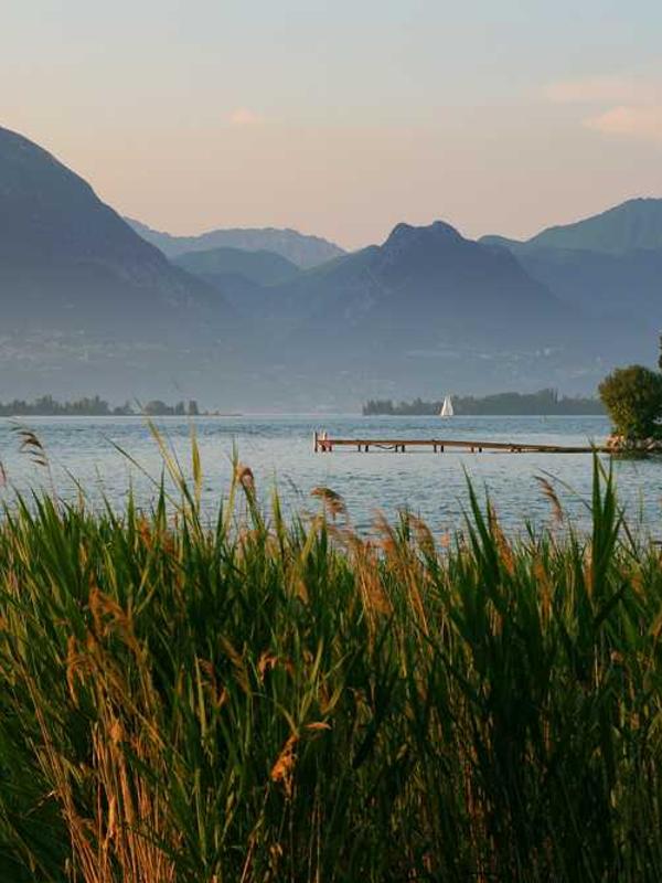 热门电视剧推荐